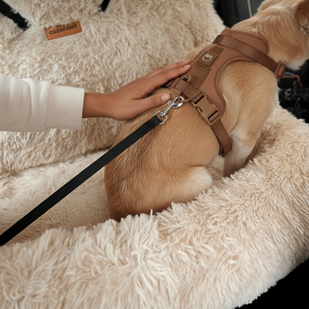 Anchor & Eliminate Sliding