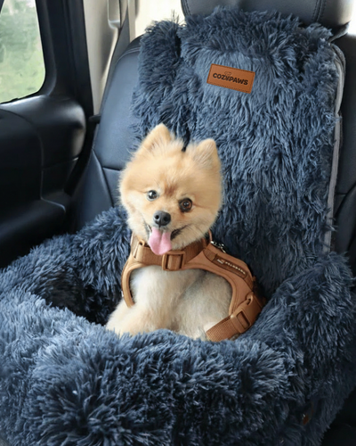 Customer testimonial video