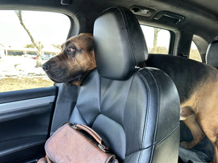 Identify the Real Problem